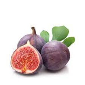 Five Fingers Fig Plant