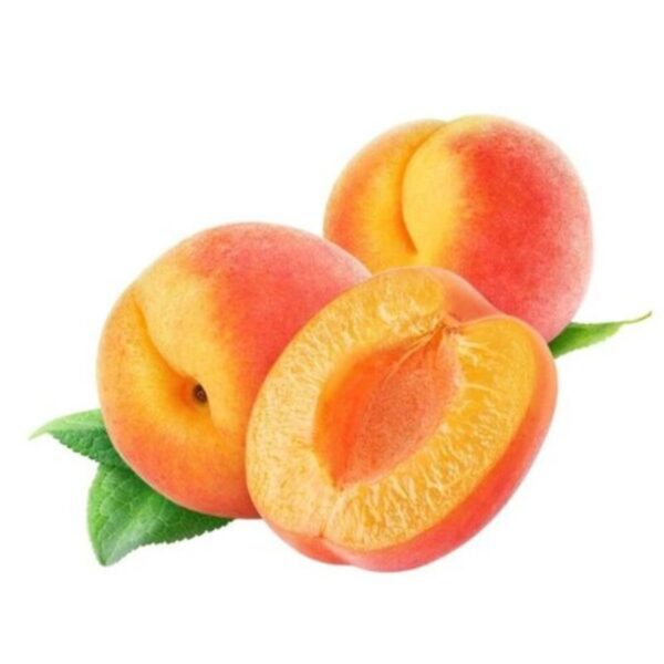 Apricot-Plant 3