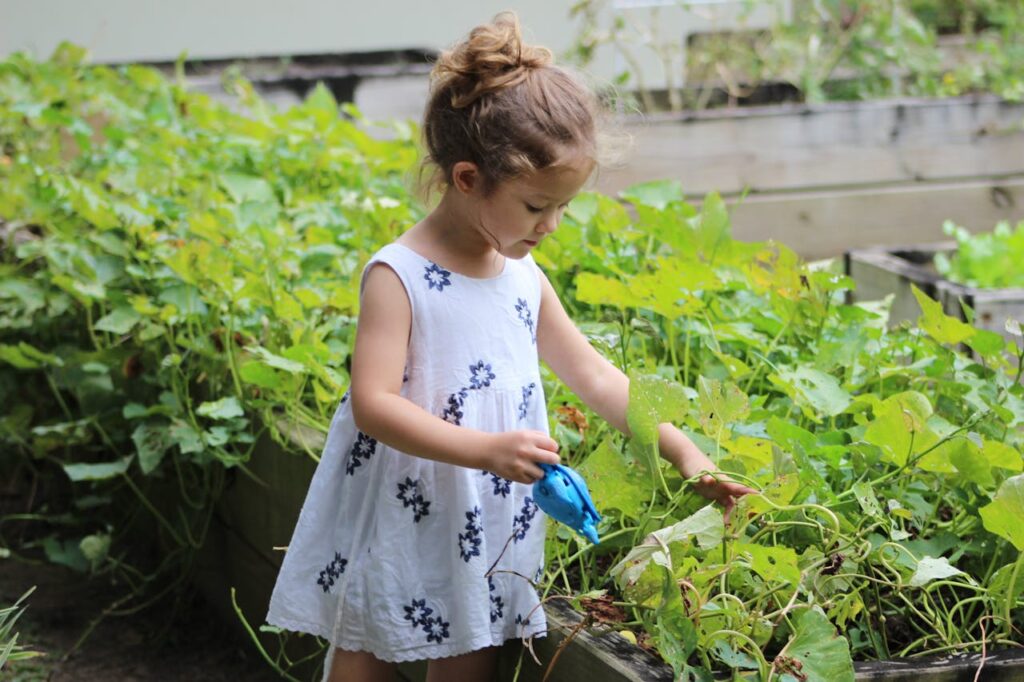 gardening in India